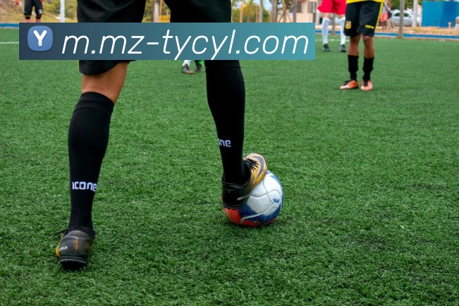 澳门太阳城官网品牌故事